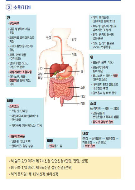 진짜 쉽죠? 역시 미영쌤송내간호학원 찰떡 요약집